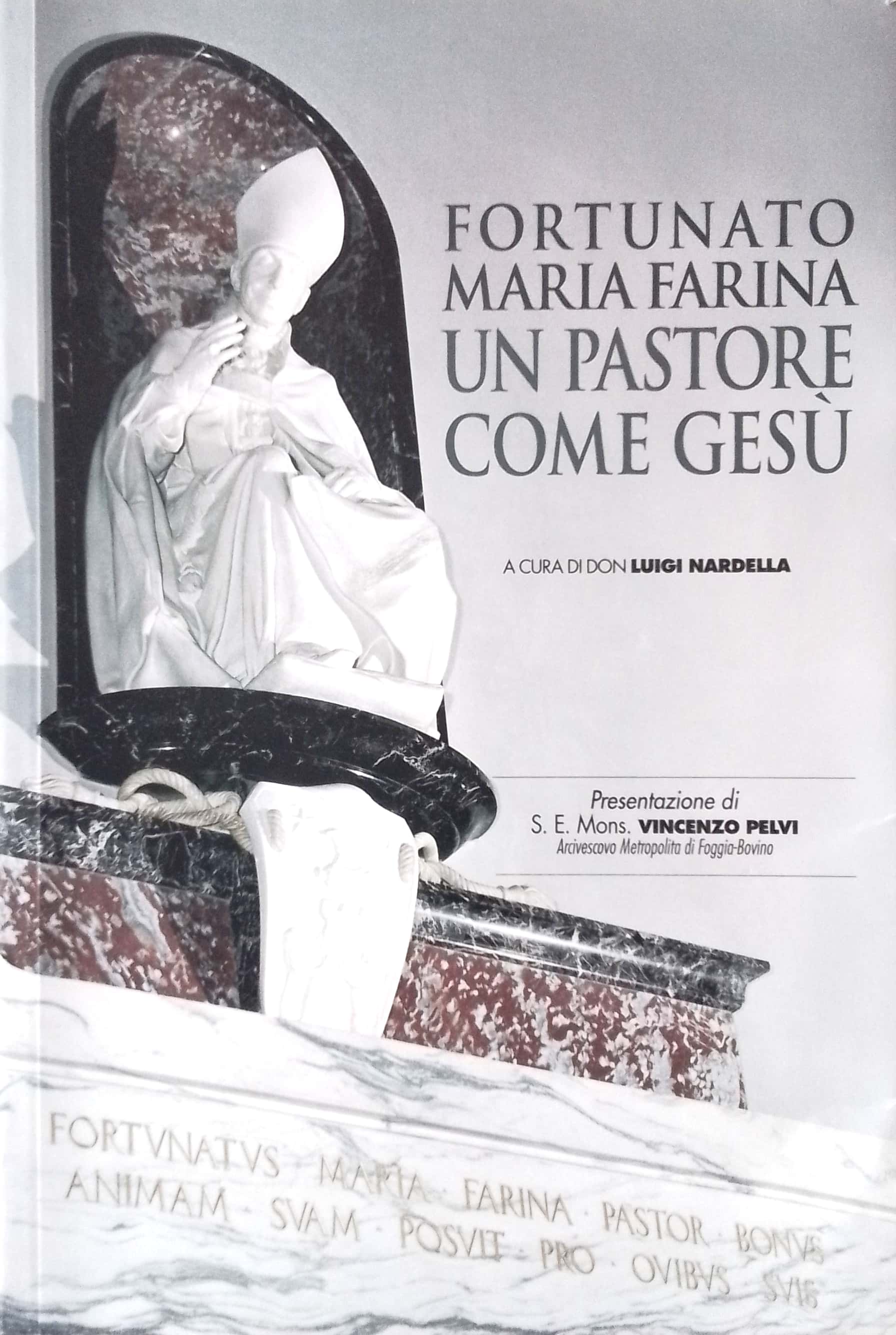 Copertina di Fortunato Maria Farina un pastore come Gesù