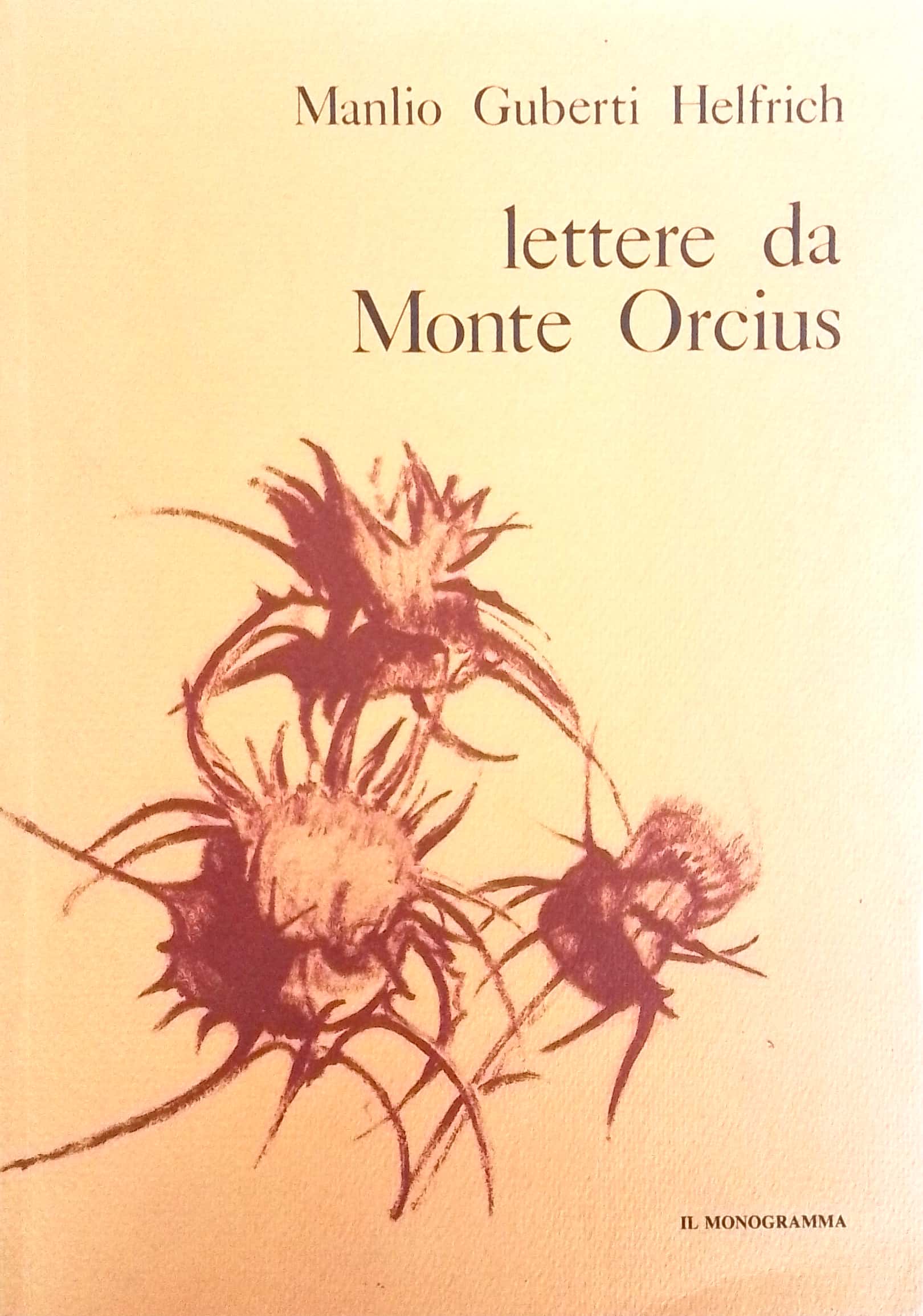 Copertina di Lettere da Monte Orcius